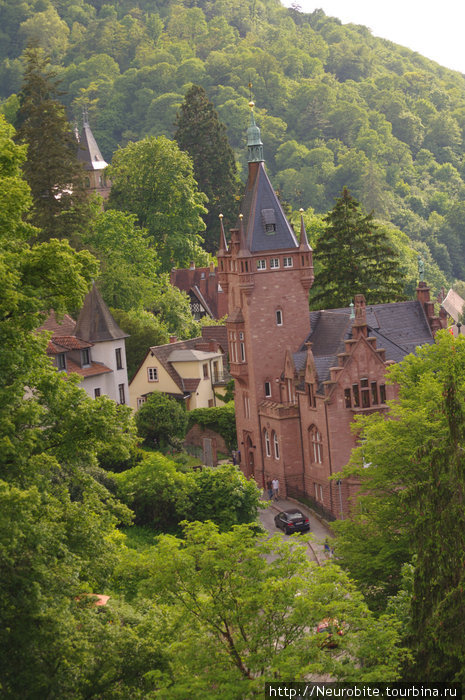 Вид с замка Гейдельберг, Германия