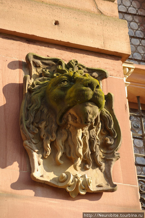 Голова льва Гейдельберг, Германия