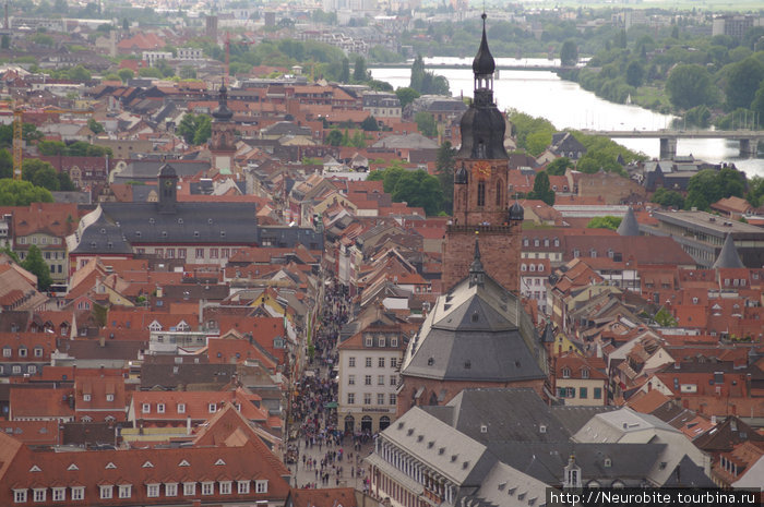 Виды города с высоты замка Гейдельберг, Германия