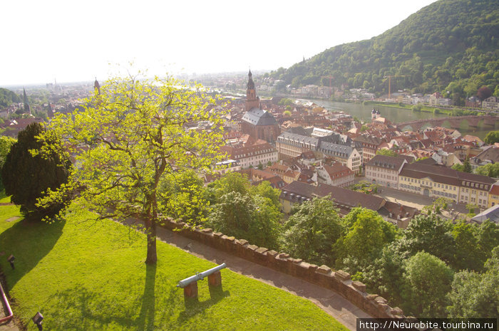 Виды города с высоты замка Гейдельберг, Германия