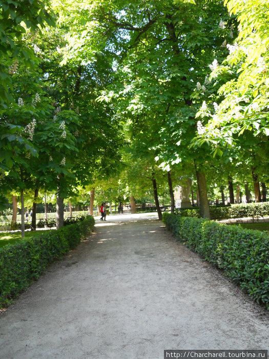 Парк Эль Буэн Ретиро (прогулки по Мадриду)