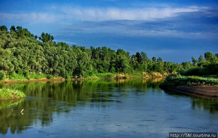 Река Самарка и её старицы Самарская область, Россия