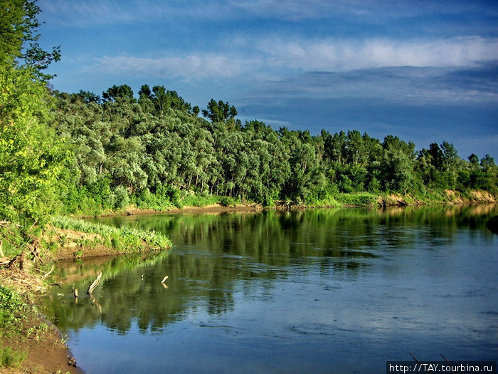 Река Самарка и её старицы Самарская область, Россия