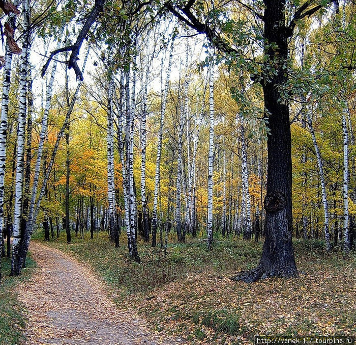 осенью Шумерля, Россия