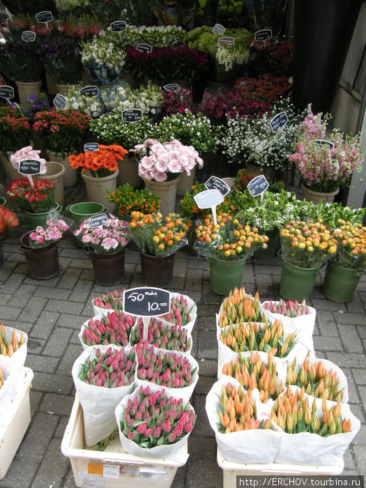 Цветочный рынок Блюменмаркт Амстердам, Нидерланды