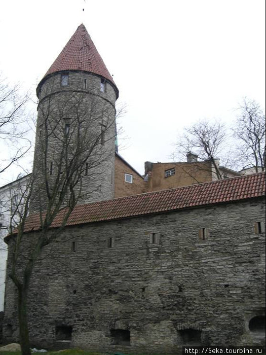 Городская стена и башни Таллин, Эстония