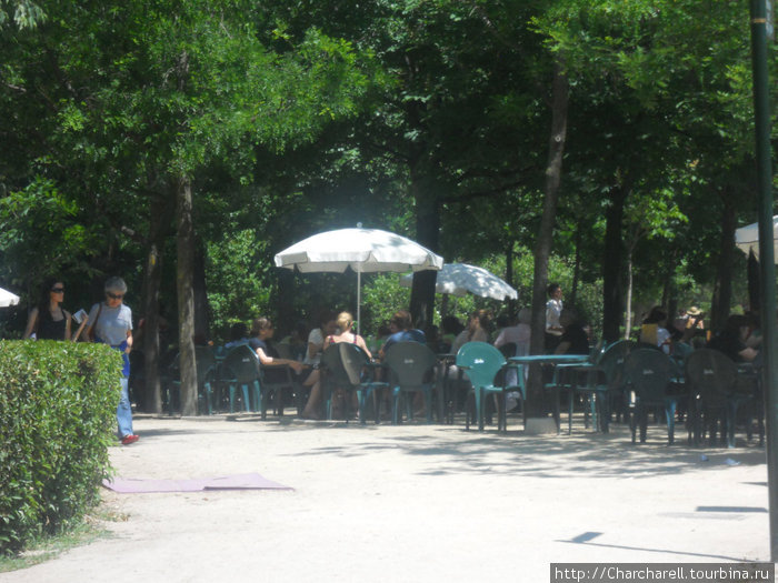 Кафешки разбросаны по всему парку, цены в них, конечно, кусаются. Мадрид, Испания