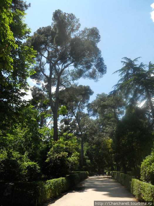 Парк Эль Буэн Ретиро часть 2 (прогулки по Мадриду) Мадрид, Испания