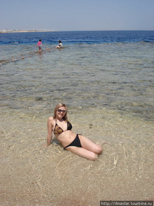 Шарм - Всегда хочется вернуться на красное море Шарм-Эль-Шейх, Египет