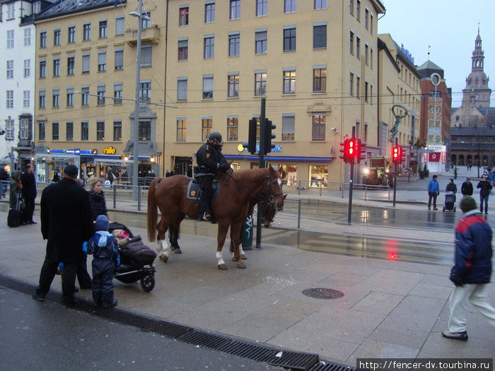 Нечасто в Европе можно встретить конную полицию Осло, Норвегия