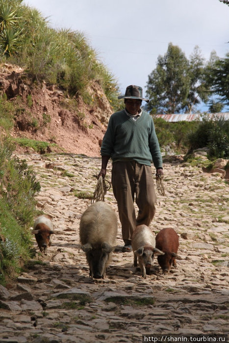 Прогулка по южному берегу Исла-дель-Сол, Боливия