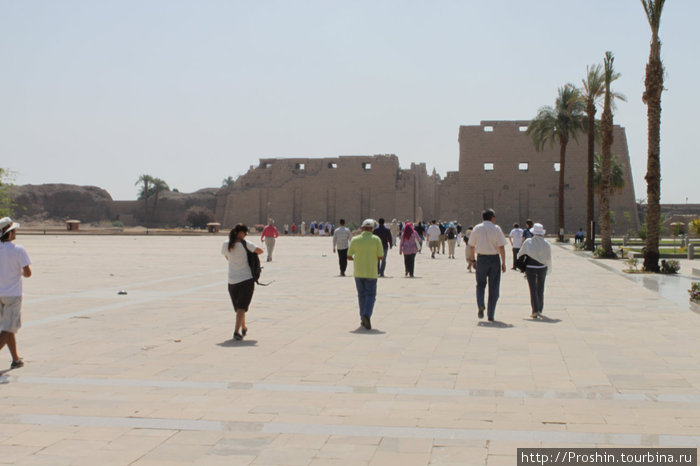 Древние Фивы! История в деталях Луксор, Египет