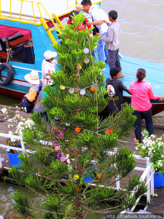 Какая была елка, такую и нарядили! Сиемреап, Камбоджа