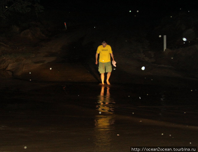 По дороге пришлось пересекать вброд две реки (которые разлились из-за дождей, и вода закрывала часть дороги). Штат Квинсленд, Австралия