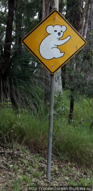 Озеро и птицы Штат Квинсленд, Австралия