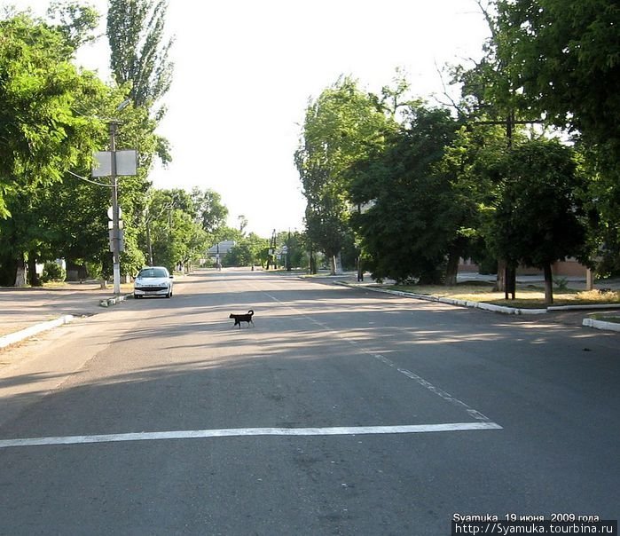 Примыкающие к улице Ленина улицы тоже пустынны. И это среди дня. Вознесенск, Украина