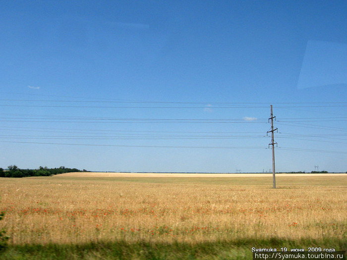 Просторы полей созревающей пшеницы с яркими маковыми вкраплениями. Вознесенск, Украина