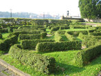изгороди-лабиринты возле Ратуши