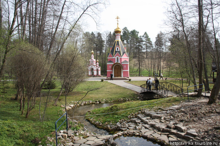 Церковь Преподобного Давида Талеж, Россия