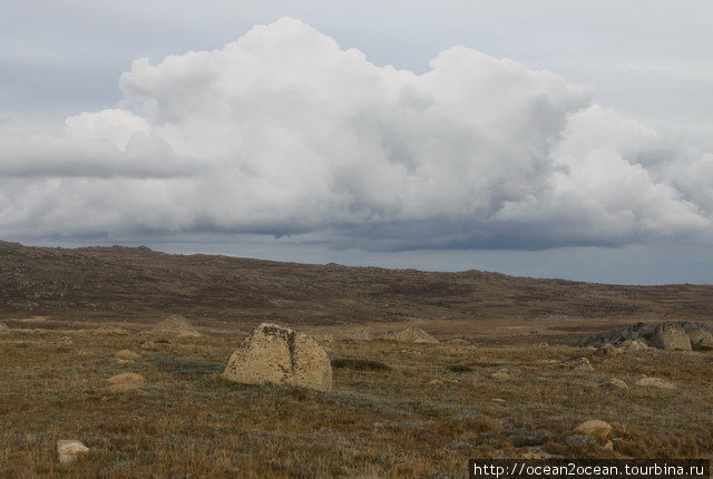 Из уважения к этому польскому исследователю власти переименовали Mt Kosciuszko в Mt Townsend,а Mt Townsend в Mt Kosciuszko — ну разве не забавно? Штат Новый Южный Уэльс, Австралия