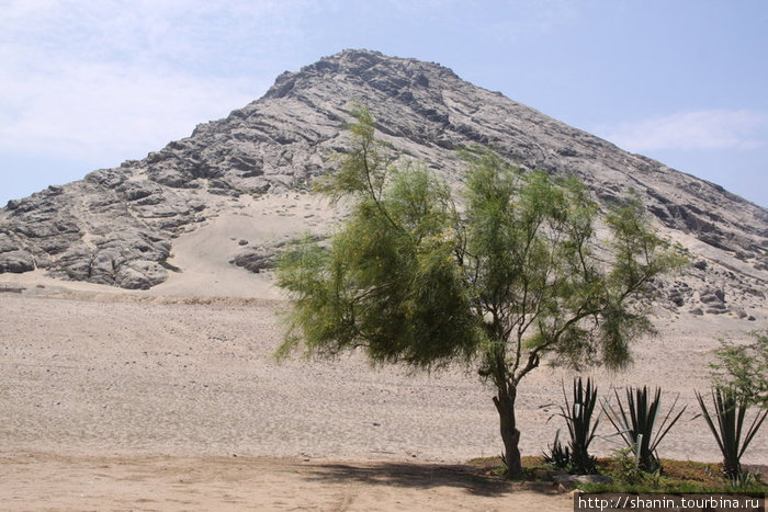 В окрестностях Трухильо пейзаж большей частью пустынный. В этой пустыне на склоне горы и построен храм Луны Трухильо, Перу