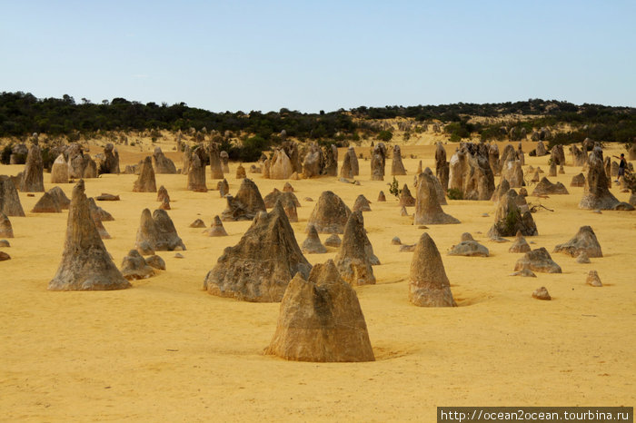 Pinnacles (Nambung National Park). Если честно, на фотографиях эти песчаные скалы выглядят очень привлекательно и необычно... Штат Западная Австралия, Австралия