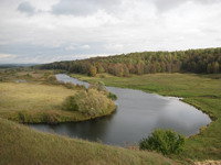 Ичалковский бор