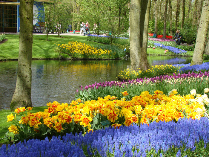 Кёкенхоф - тюльпанный рай! Кёкенхоф, Нидерланды