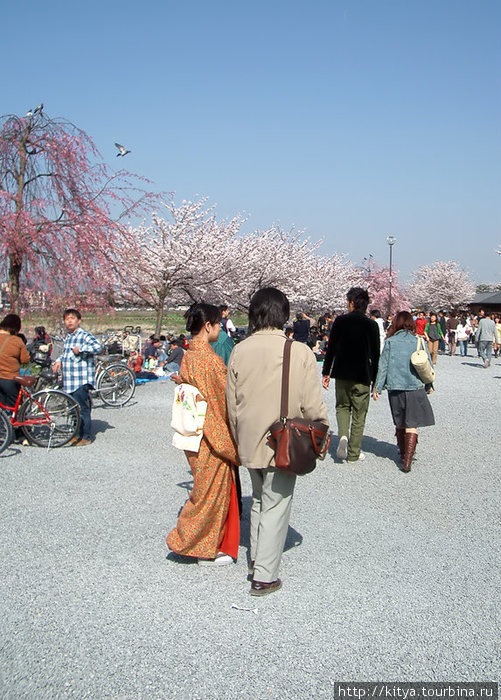 Многие женщины по празникам наряжаются в кимоно. Мужчины это делают реже, поэтому получаются такие странные пары. Киото, Япония
