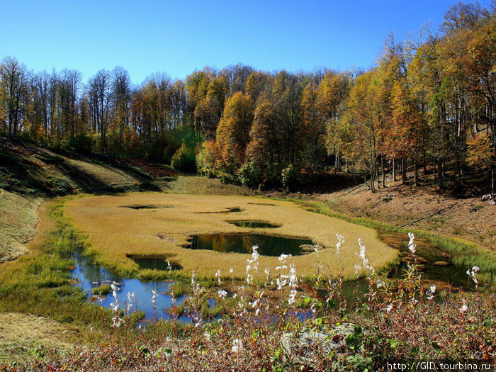 Кавказ. Красная поляна. Красная Поляна, Россия