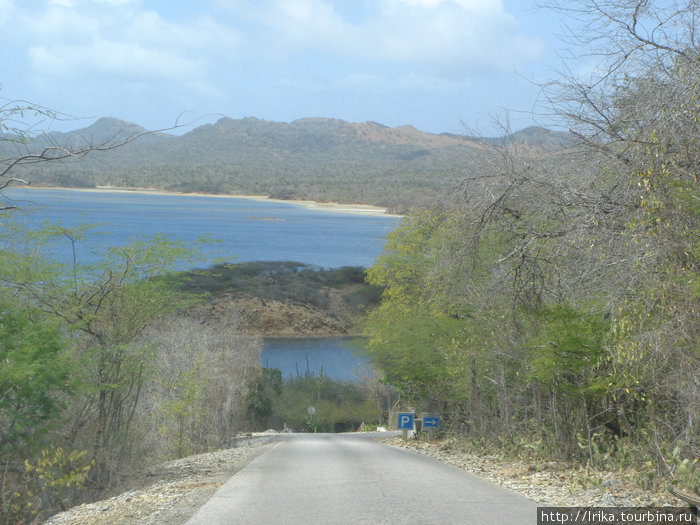 Кактусовый остров остров Бонайре, Бонайре