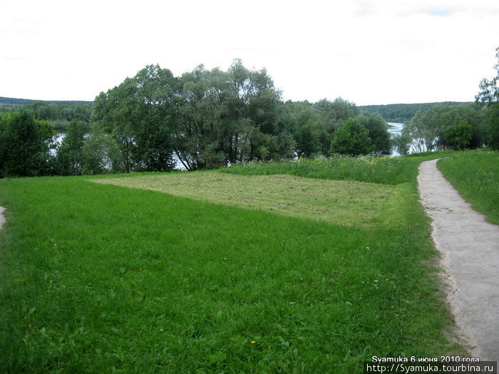 Сочные луговые травы... А за старыми ивами — красавица Ока! Тульская область, Россия