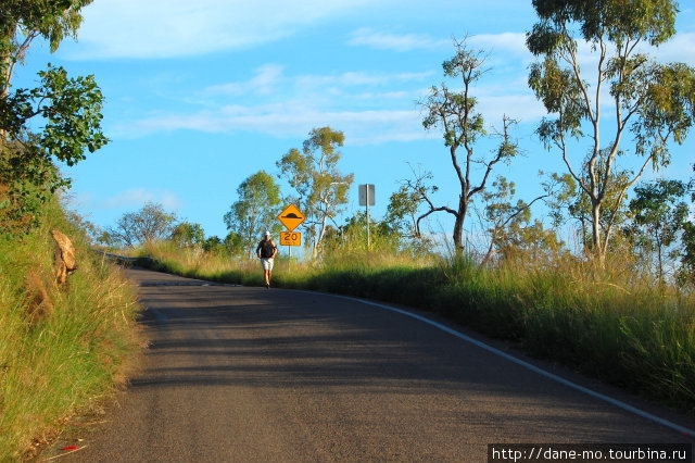 Недалеко от вершины тропа выходит на асфальтовую дорогу Таунсвилл, Австралия