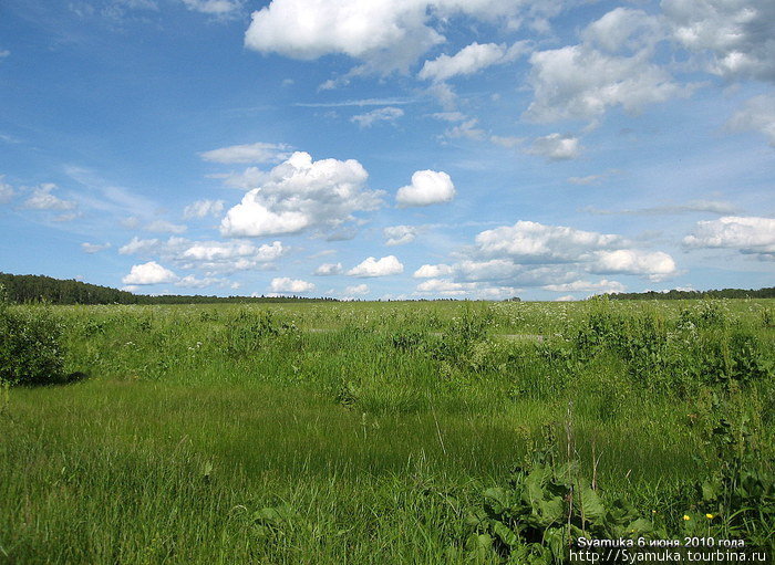 Зеленела сочная трава, а над головой пенились облака. Тульская область, Россия
