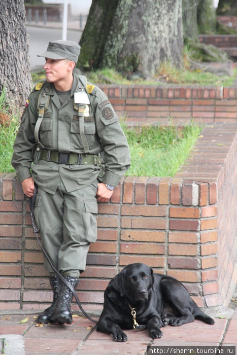 Охранник с собакой Богота, Колумбия