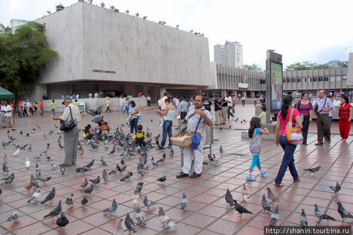 Голуби на площади Кали, Колумбия