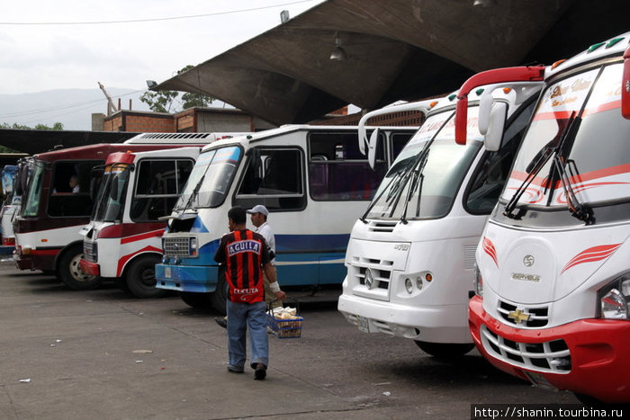 На автовокзале в Сан Кристобале есть автобусы по многим направлениям по Венесуэле. Кукута, Колумбия