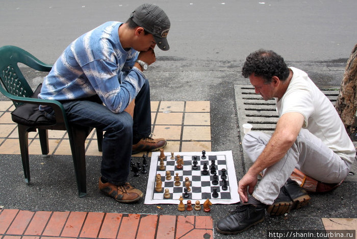 Шахматисты Медельин, Колумбия