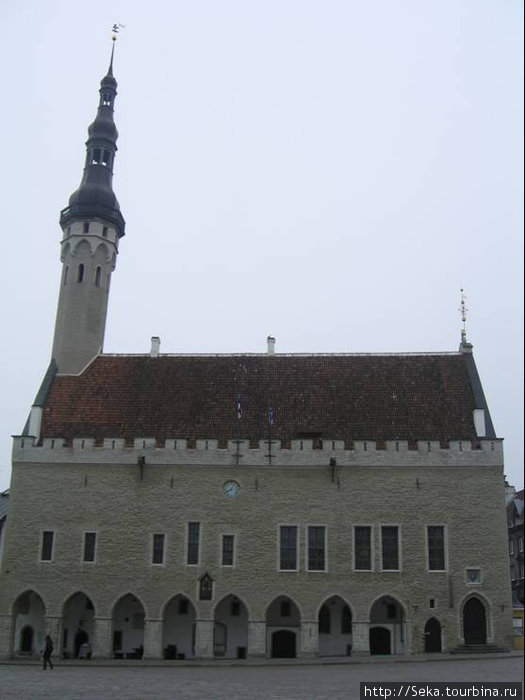 Ратуша Таллина / Tallinn Town Hall