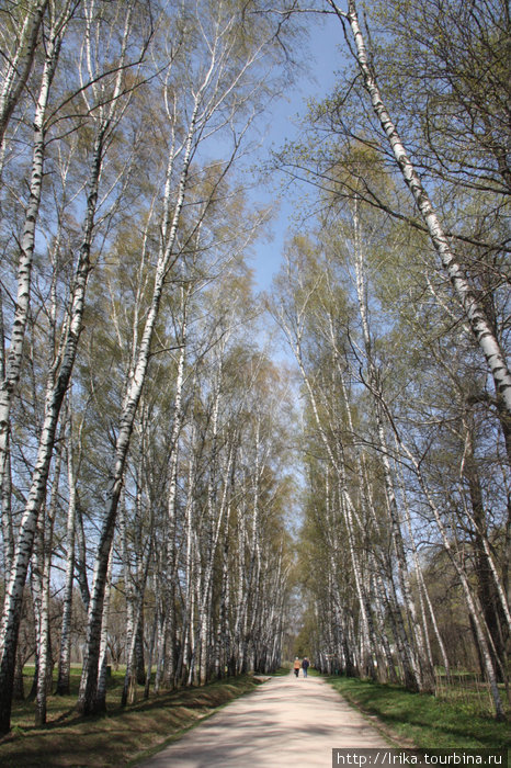 Родовое гнездо Л.Н. Толстого Тульская область, Россия