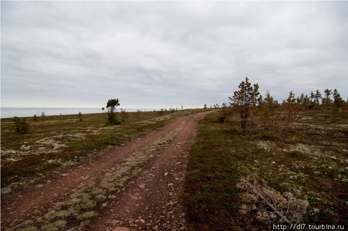 Старая дорога по побережью Белого моря Республика Карелия, Россия
