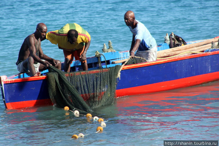 Трое в лодке, не считая сети с рыбой Гояве, Гренада