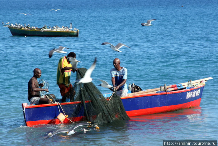 Рыбаки с сетью Гояве, Гренада