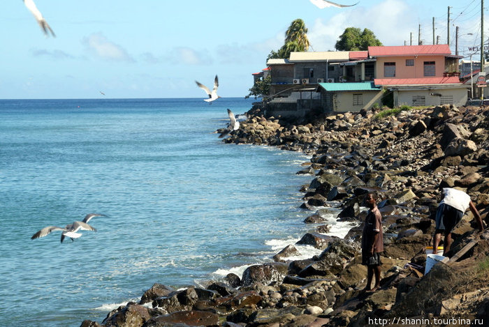 На окраине поселка Гояве — рыбное место Гояве, Гренада