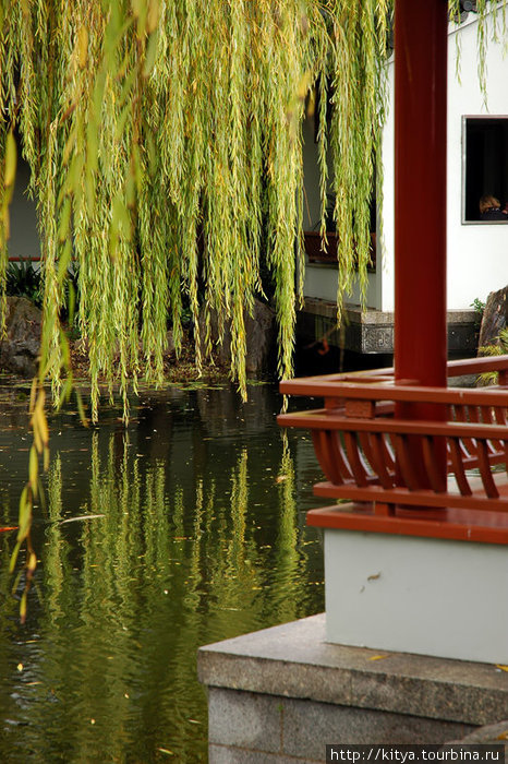 Китайский сад в Сиднее Сидней, Австралия