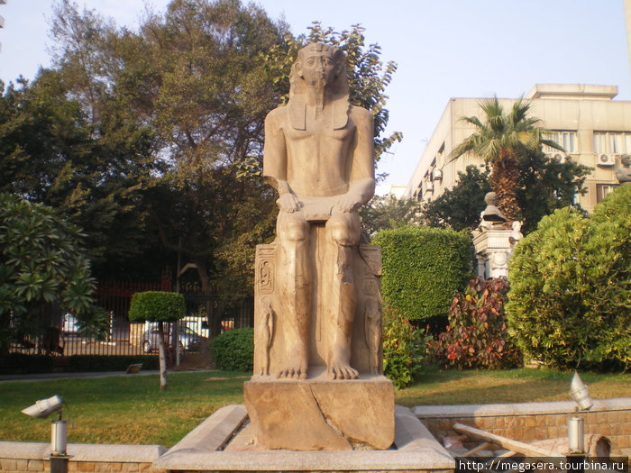 2010 январь Каир Каир, Египет