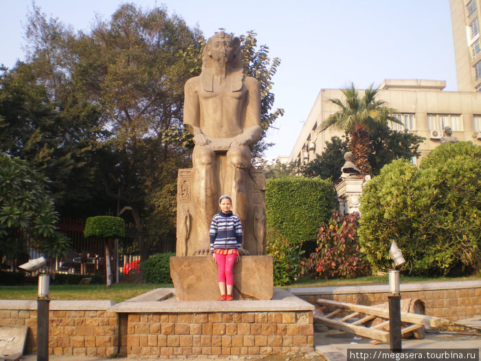 2010 январь Каир Каир, Египет