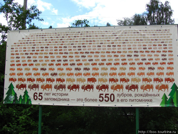 вот так понемногу тут восстанавливают вымирающее животное Приокско-Террасный Биосферный Заповедник, Россия