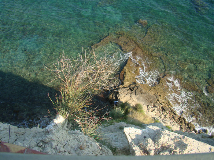Остров черепах! Остров Закинф, Греция