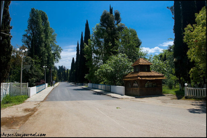 Дорога к монастырю Новый Афон, Абхазия